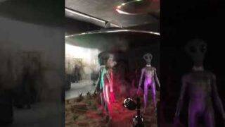 Aliens at the Roswell UFO Museum or something
