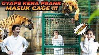 ALSHAD PRANK GYAPS MASUK TIGER CAGE ! SAMPE TERIAK TERIAK MINTA TOLONG ! AUTO TOBAT !