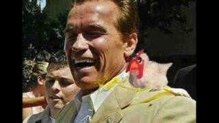 Arnold Schwarzenegger Funny Soundboard Prank