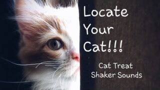 Cat Locator – Cat Treat Shaker Sound Effects – Find Your FELINE