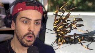 C'EST POSSIBLE ÇA ? (WTF)