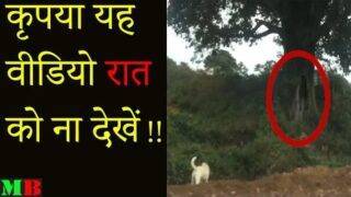 कैमरे में कैद असली भूत प्रेत !!!! REAL GHOST Sightings Caught On  Camera 2017 | Scary Horror Videos