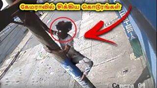 பட்ட பகலில் சிக்கிய கொடூரம் | Paranormal Activities Detected in the Daylight Tamil | VIKKY PICTURES