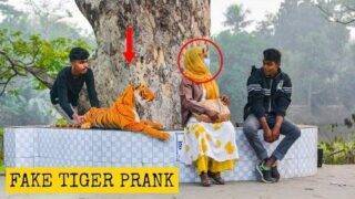 Fake Tiger Prank 😂 on Cute Girl | Fake Tiger vs Man Prank Video (Part 10) | 4 Minute Fun