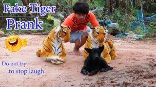 Fake Tiger Prank Funniest today