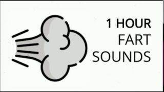 Fart Sounds 1 hour