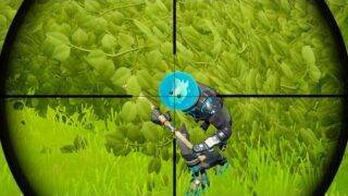 Fortnite WTF Moments #314