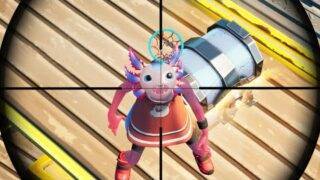 Fortnite WTF Moments #362