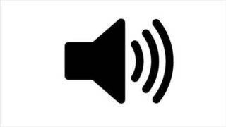 Funny Fart Noise Sound Effect #3