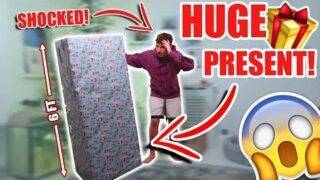 GIANT PRESENT PRANK ON MY 16 YEAR OLD BROTHER!!