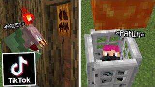 Gw Pake Minecraft Hacks di Tik Tok Untuk PRANK Temen Gw …