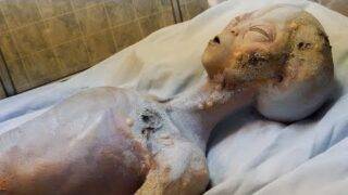 L'HISTOIRE DE ROSWELL