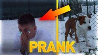 PRANK NA DATLA – ZTRATIL JSEM SAMOPALA! 😱