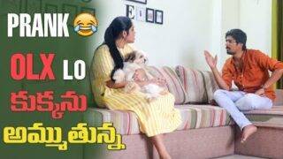 PRANK || OLX || KUKKANU AMESTHA 😂