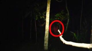 RED GHOST SIGHTINGS