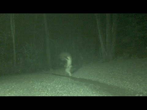 STORMY WEATHER GHOST SIGHTING CAUGHT ON TAPE - WTF Content | Free Funny