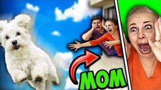 Wigofellas Pranks on Mom DAY 7 – Wigofellas Pranks TikTok – Wigofellas Pranks on Girlfriend – Sister