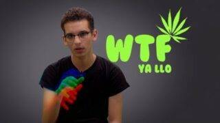 WTF – دين الزطلة