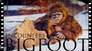 1975 UFO BIGFOOT SASQUATCH CONSPIRACY ENCOUNTER Vintage Video Documentary Cryptid TV Space Movie USA