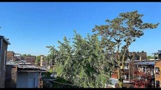 UFO SIGHTING 2021!!!!! PART 282 CLEAR BLUE SKIES AGAIN BUT THE UFO WAS STILL THERE